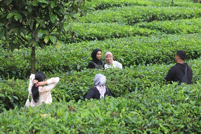 wisatawan-berkunjung-ke-puncak-bogor-1-27062025-075533