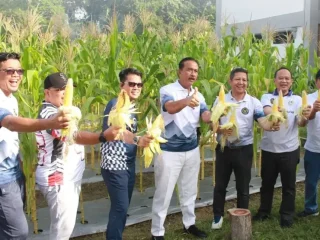 Kakanwil Ditjenpas Riau Beserta Jajaran Panen Jagung, Wujud Nyata Program Ketahanan Pangan